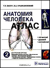 Анатомия человека. Атлас. В 3 томах. Том 2. Внутренние органы