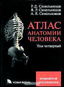 Атлас анатомии человека. В 4 томах. Том 4
